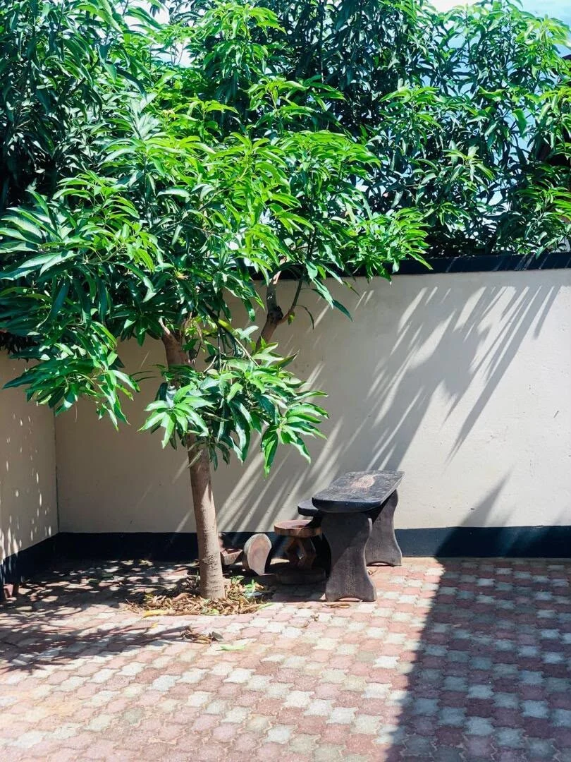The green garden at DK Holiday Home