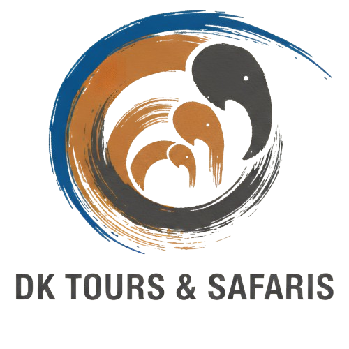 DK Tours and Safaris